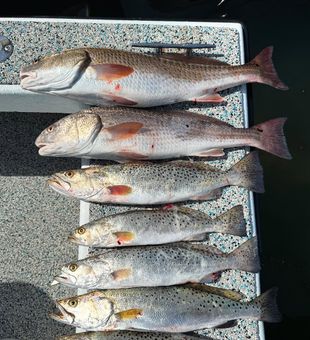 Gulf coast fishing done just right